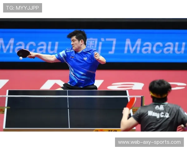 樊振东如何突破瓶颈成就世界乒坛之王的背后故事与训练秘籍